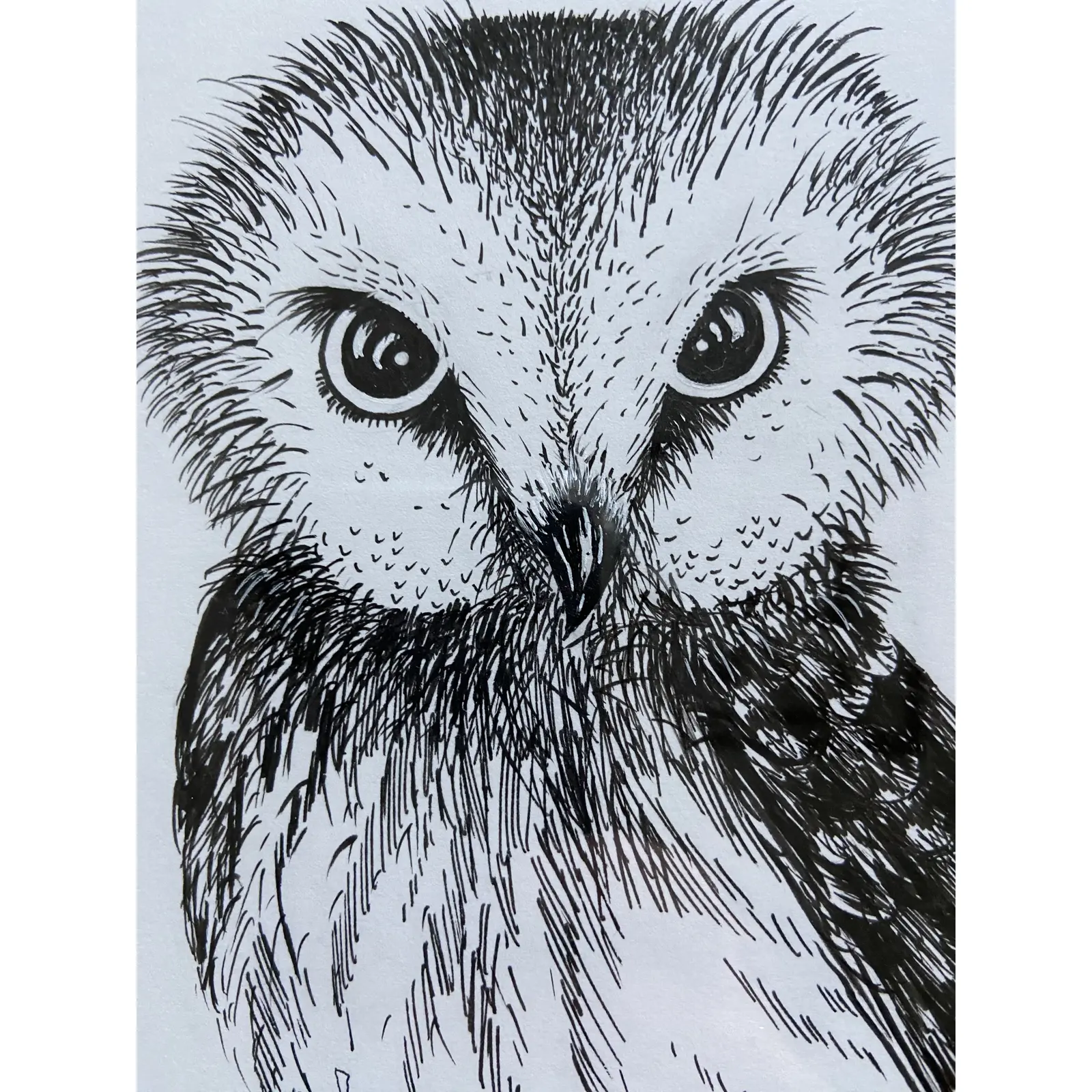 messenger-owl-framed-original-drawing-8202.png