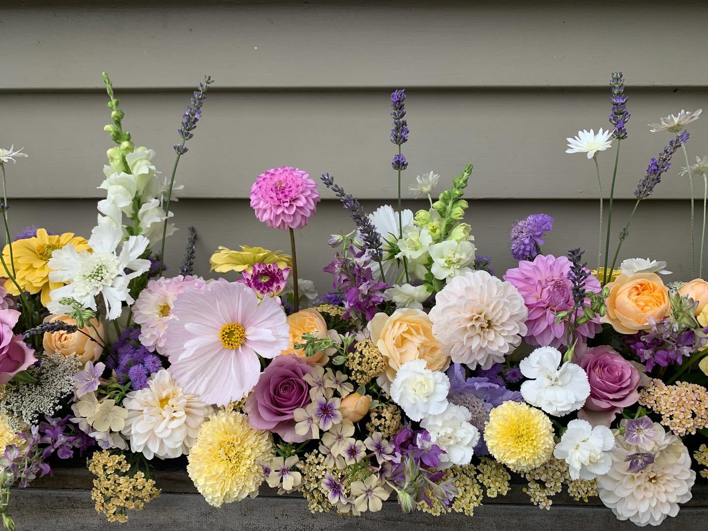 A little mid-summer meadow magic from January. 

#wedding florist #weddingflowers