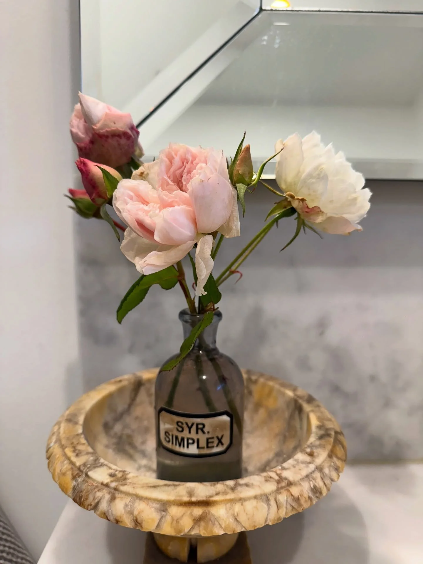 The absolute last of the roses. 
I picked these before pruning. Just 4 months to wait until the new season&rsquo;s. 🌸