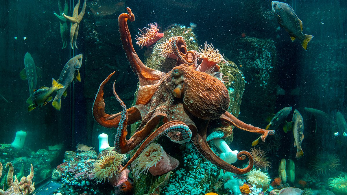 Vancouver Aquarium