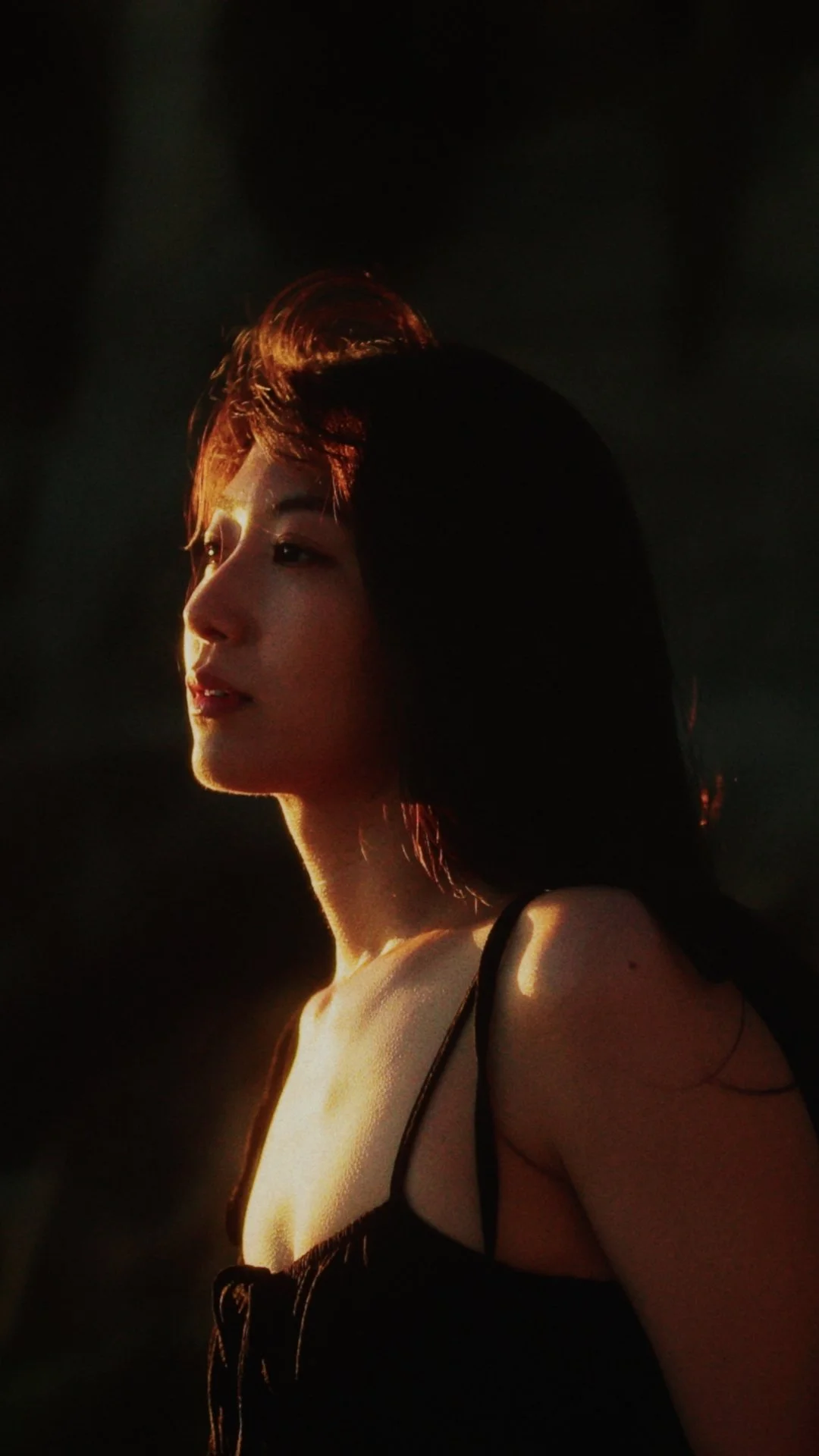 SASARA_NAMI+SHIMPU v260215TheFirstStepV2-Vertical (TITLE STILLS)_01_00_42_08.jpg