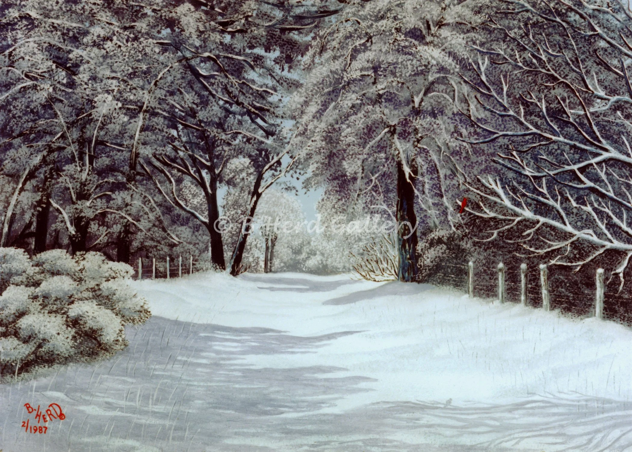 Winter Wonder