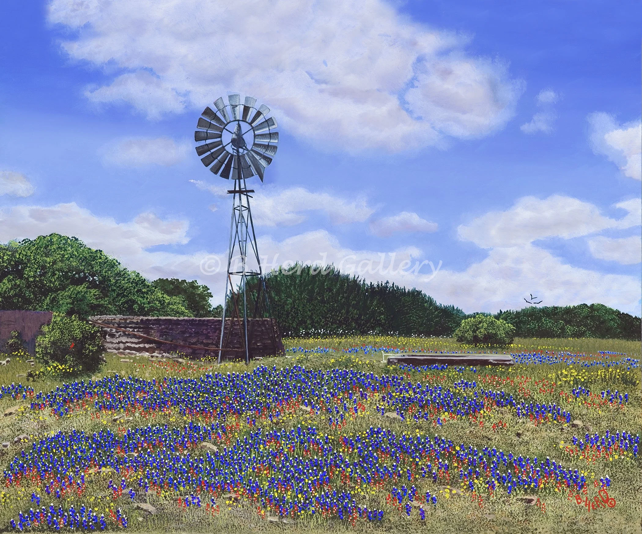 Bluebonnets and Windmill