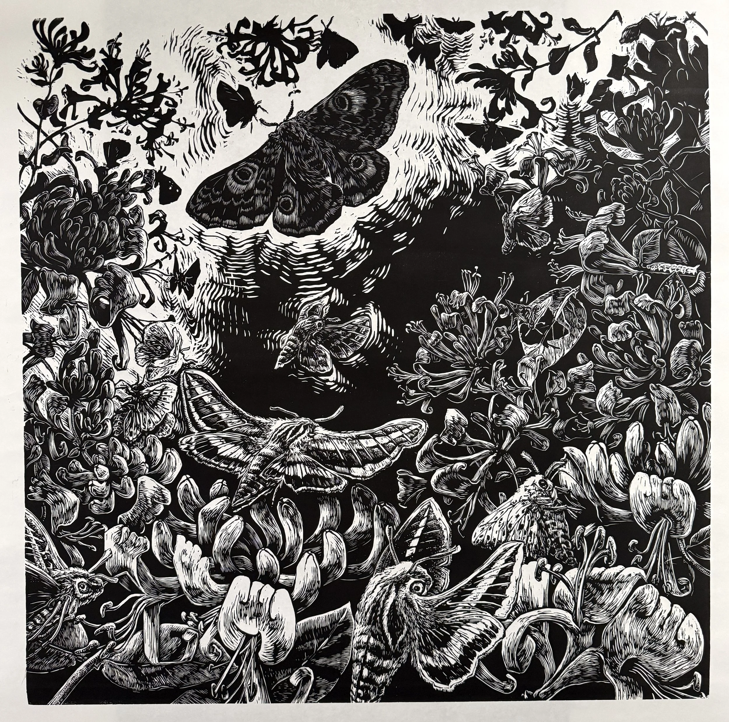 The Empress
36in x 36in
woodcut relief print on Japanese masa paper
2026

edition of 8