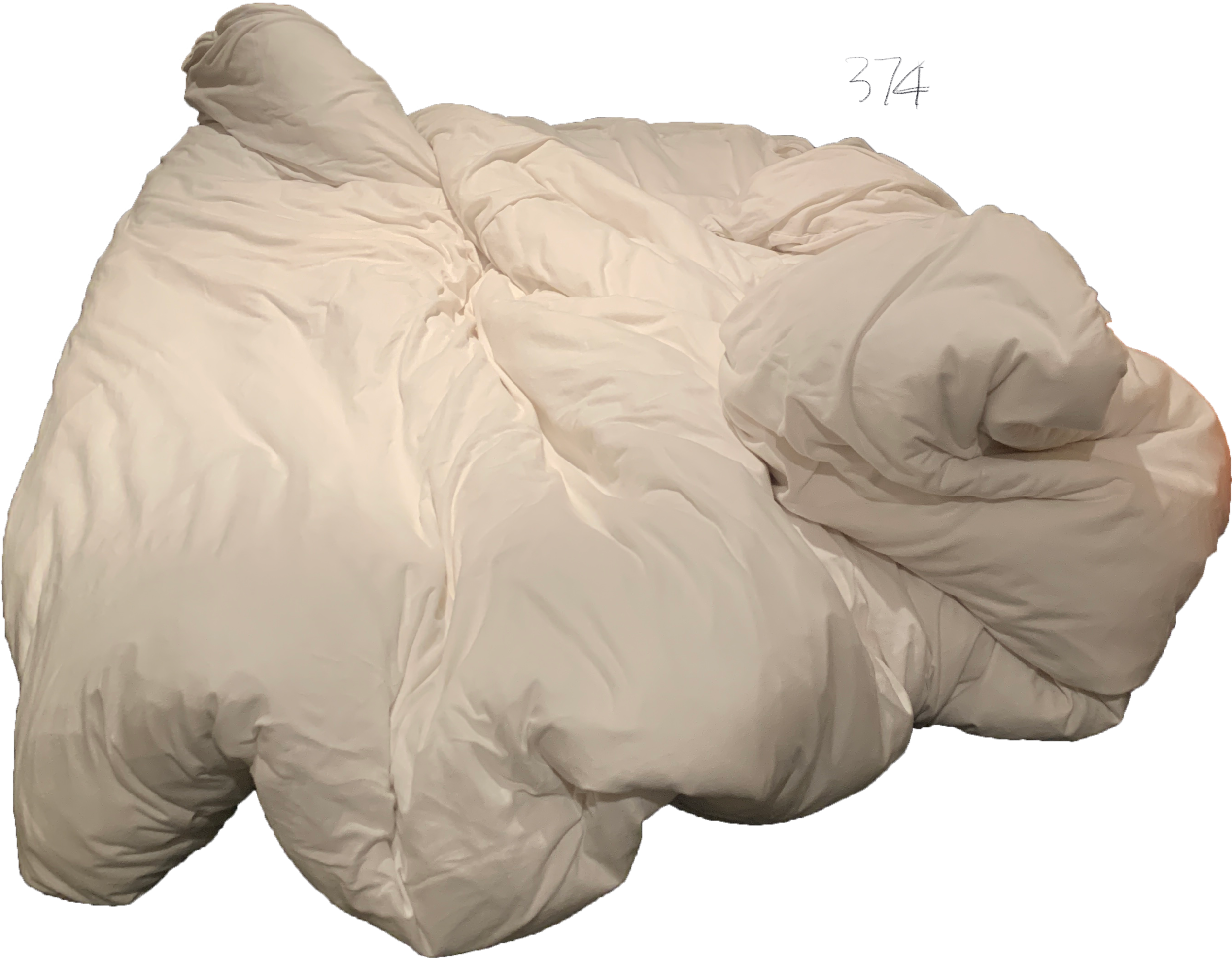 Untitled_Artwork 6 (1).png