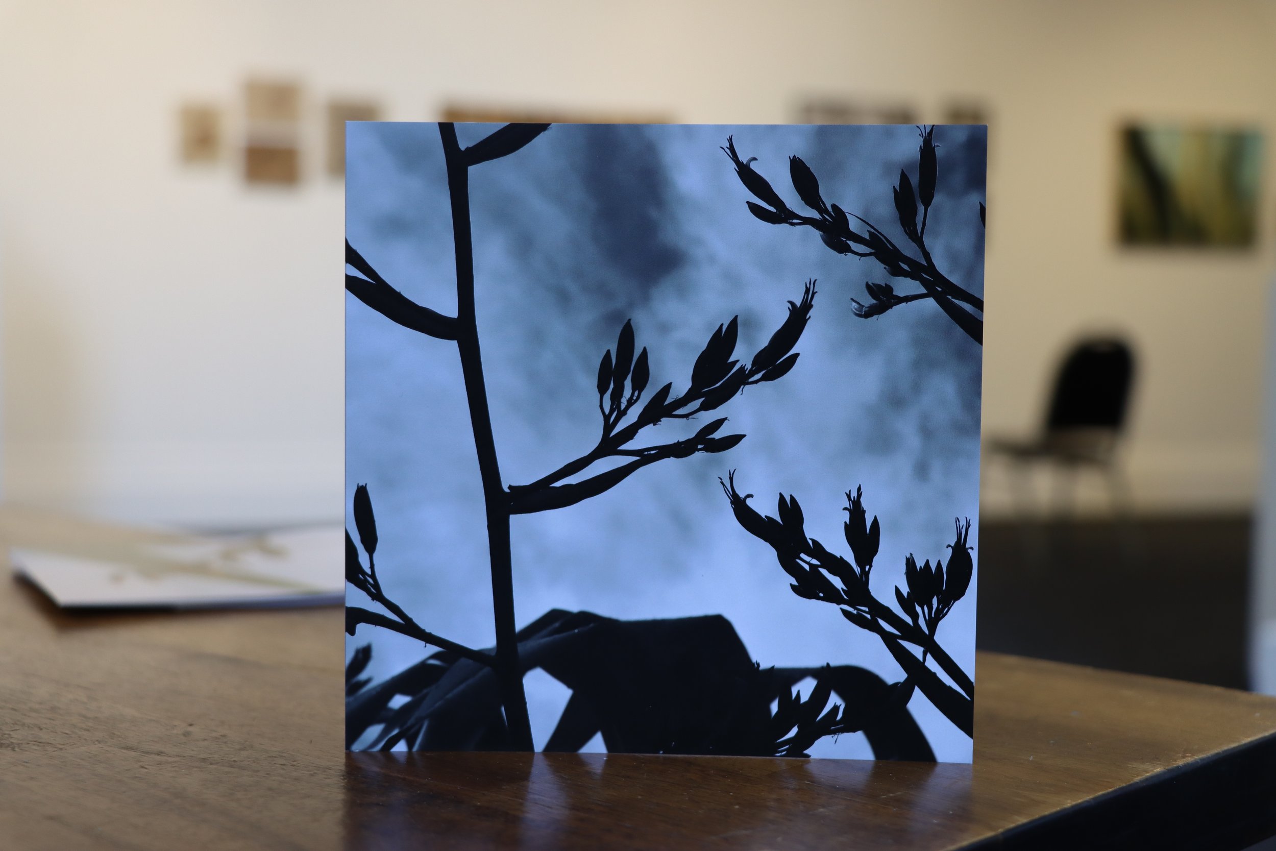 card3.JPG