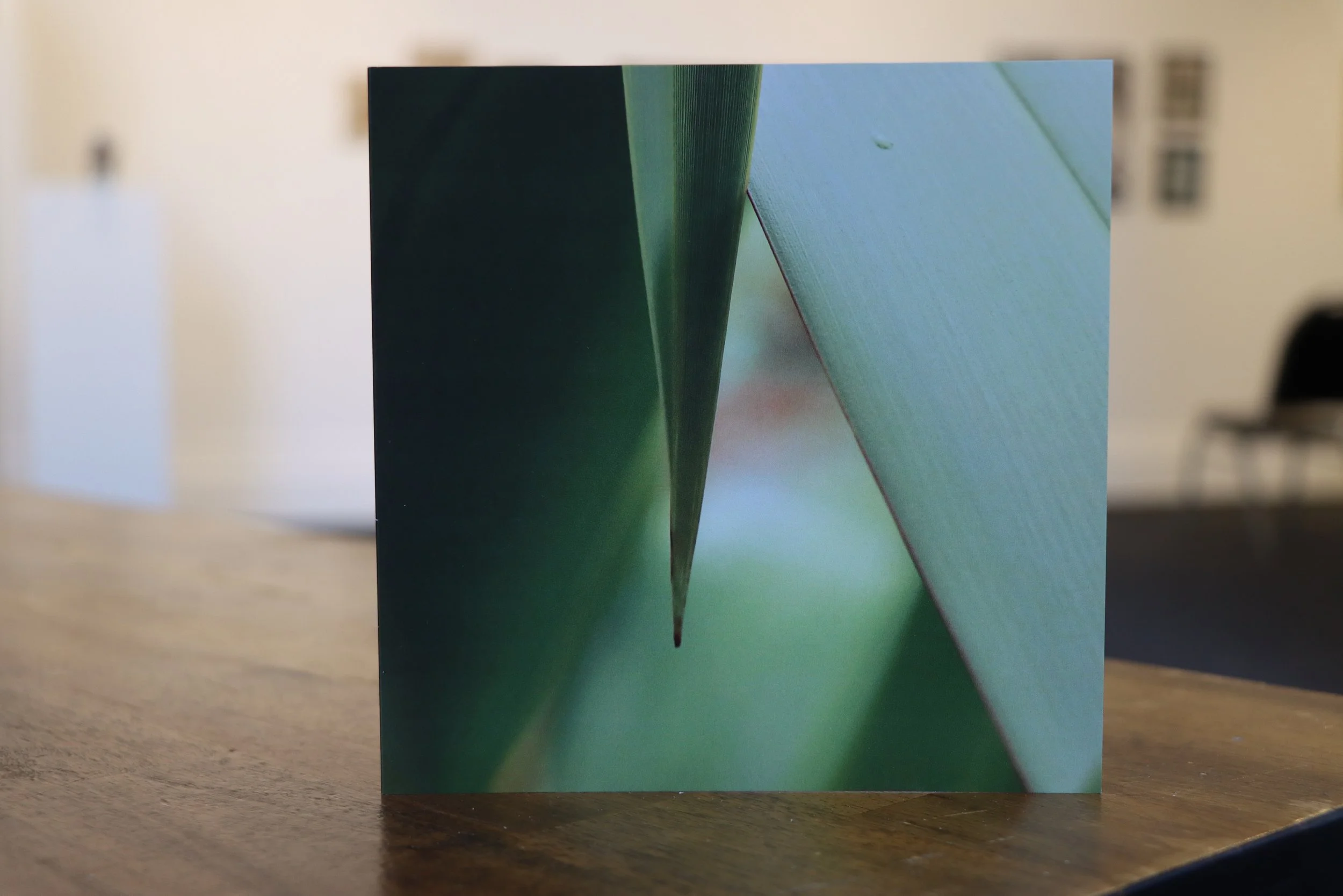 card1.JPG