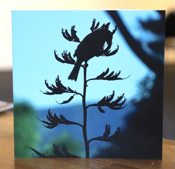 card7 copy.JPG