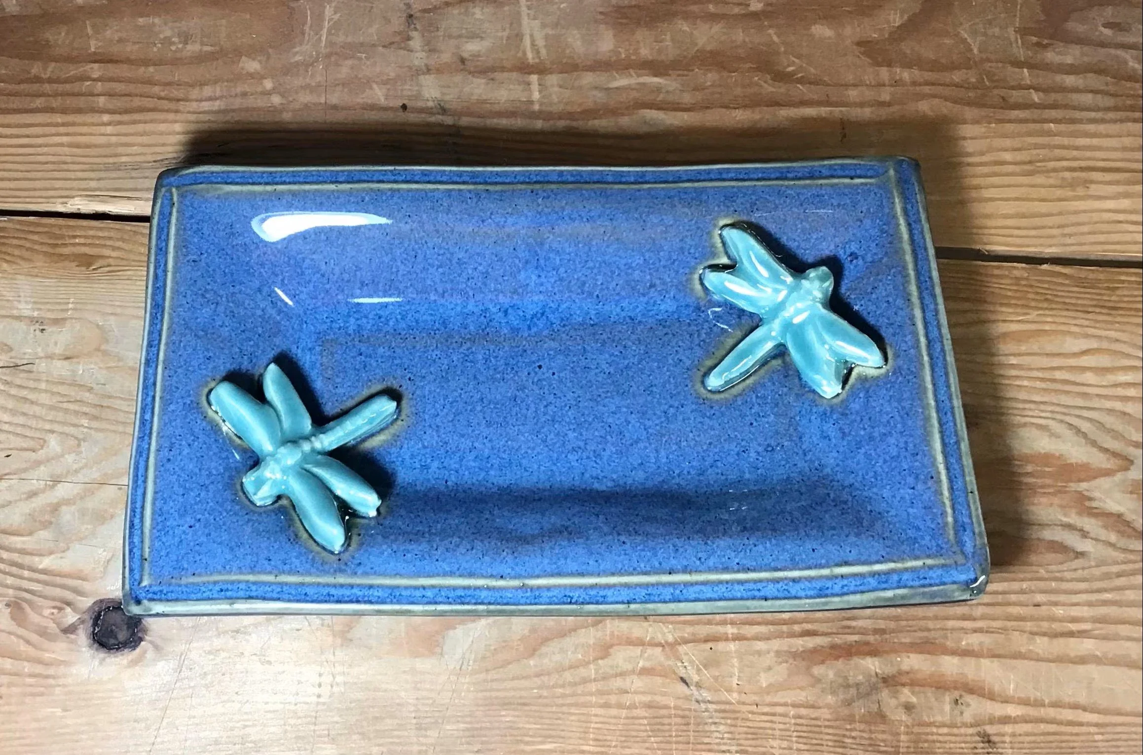 dragonfly tray 1.jpeg