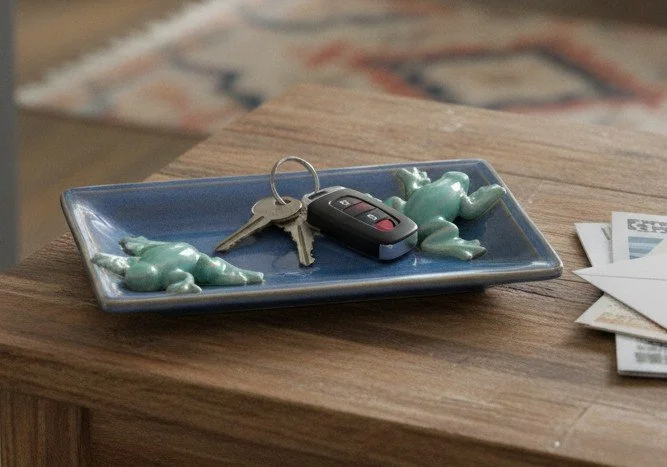 twilight frog tray by door.jpeg