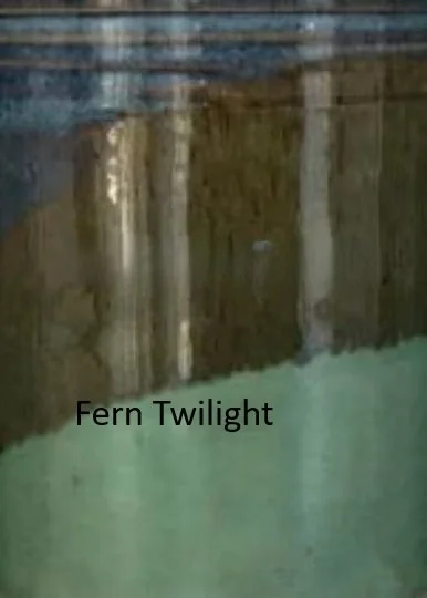 Fern Twilight Sample.jpg
