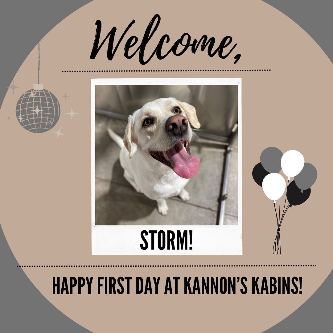 Happy First Day at Kannon&rsquo;s Kabins, Storm &amp; Loki!