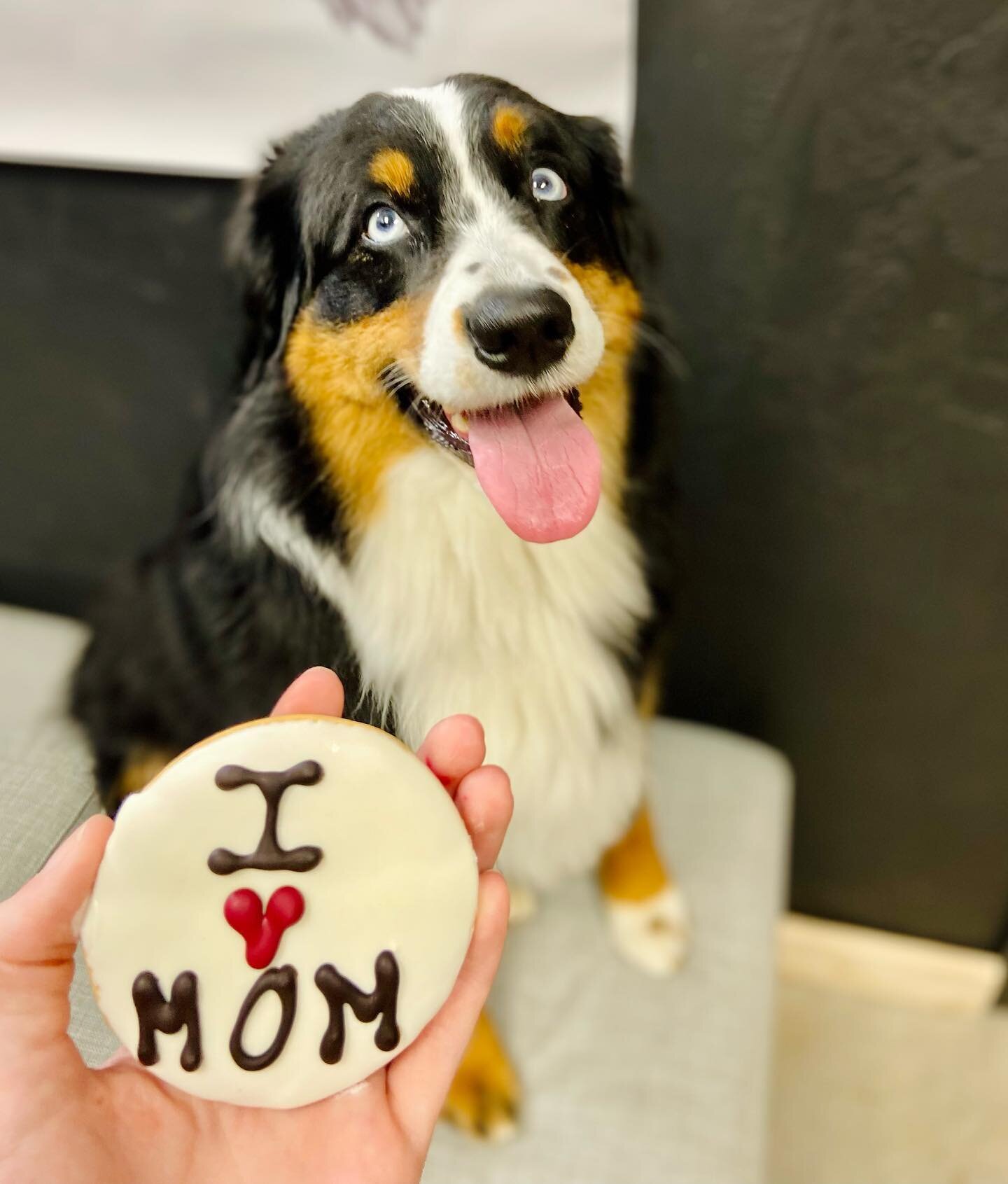 These pups LOVE their mamas! 🐶❤️

This week&rsquo;s specials for Mother&rsquo;s Day:

- $3 Mother&rsquo;s Day Treats
- 30% OFF all services 
- 50% OFF all Golden Mutt Jack retail