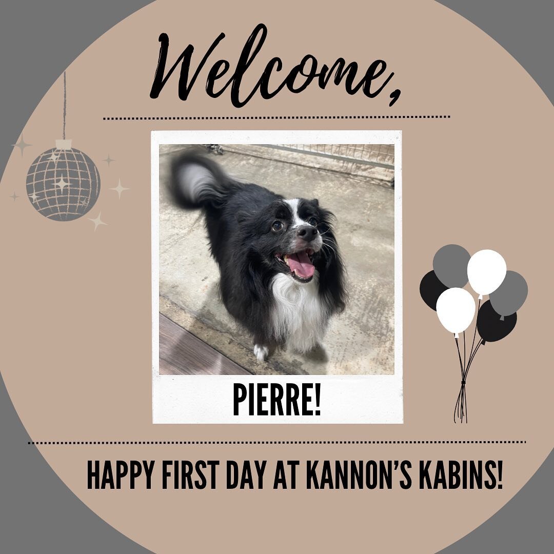 Happy First Day at Kannon&rsquo;s Kabins, Pierre and Remington!