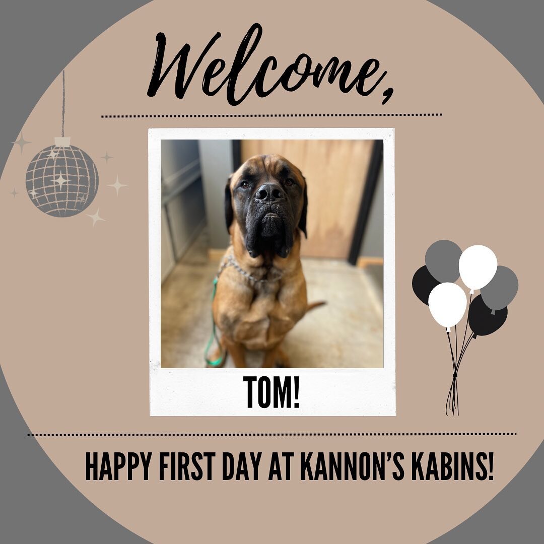 Happy First Day at Kannon&rsquo;s Kabins, Tom, Cali, Bubba, and Nala!