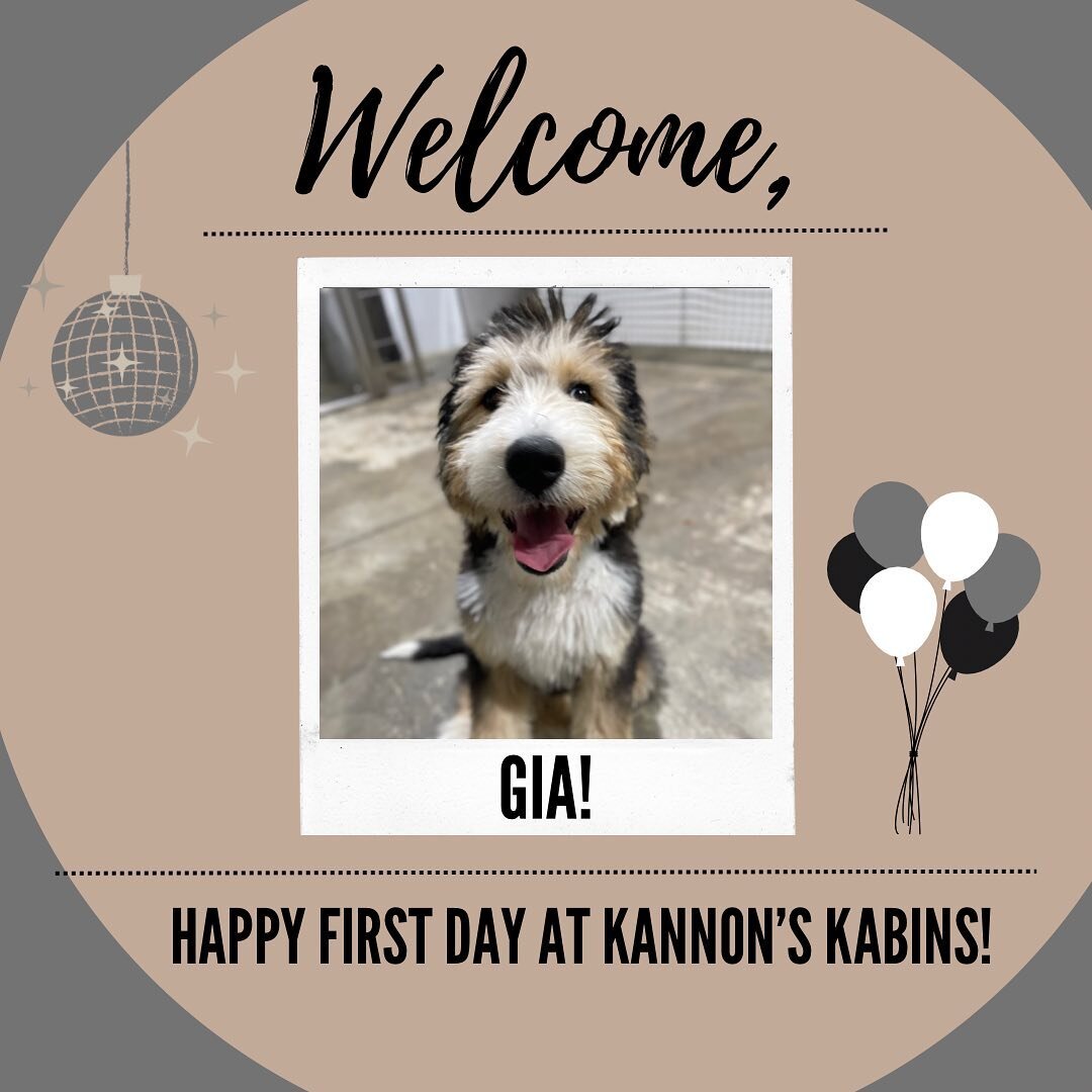 Happy First Day at Kannon&rsquo;s Kabins, Gia!