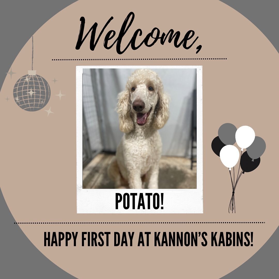 Happy First Day at Kannon&rsquo;s Kabins, Potato!