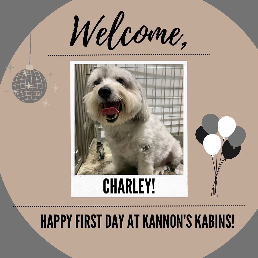 Happy First Day at Kannon&rsquo;s Kabins, Charley!