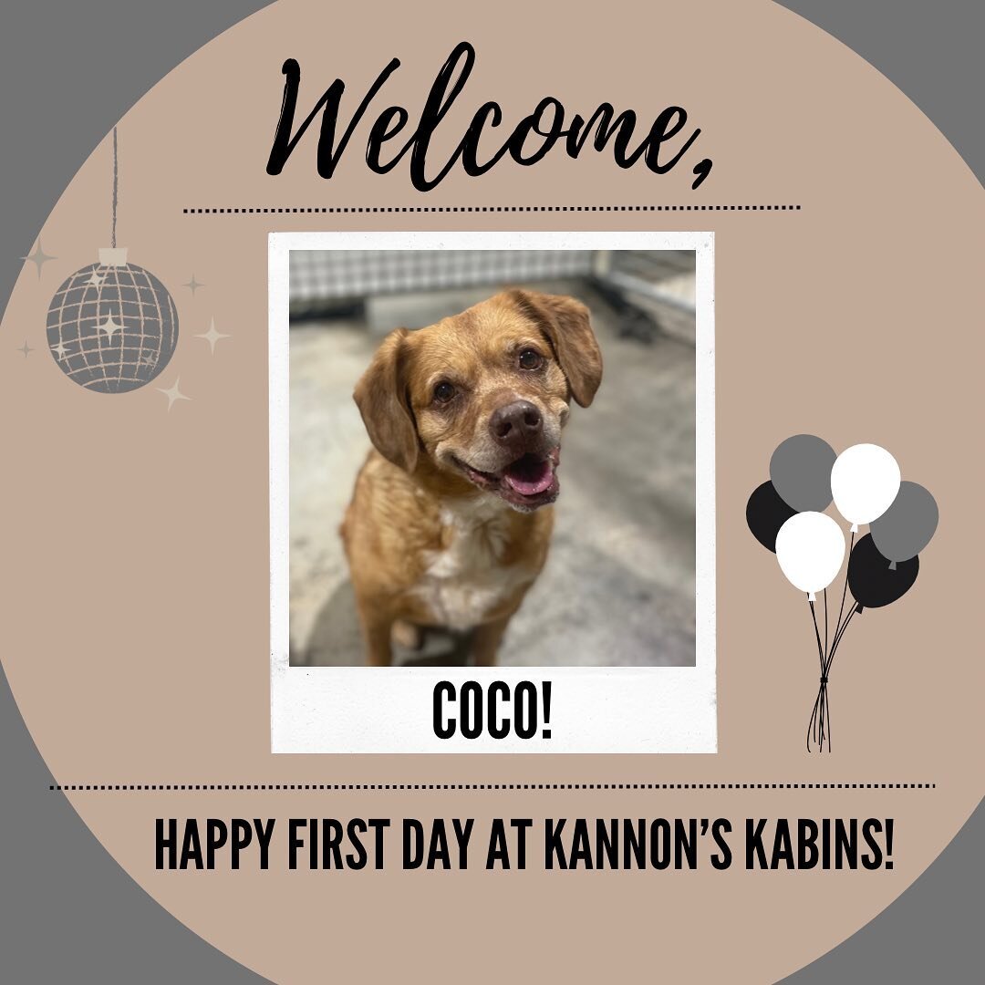 Happy First Day at Kannon&rsquo;s Kabins, Coco &amp; Louise!