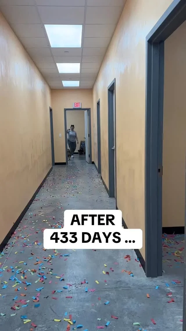 I pulled Daisy from the shelter on June 18, 2024. For months she had very little interest, patiently waiting as she watched other dogs find their forever homes. Each time she was overlooked, our hearts broke for her—but now we realize it was al
