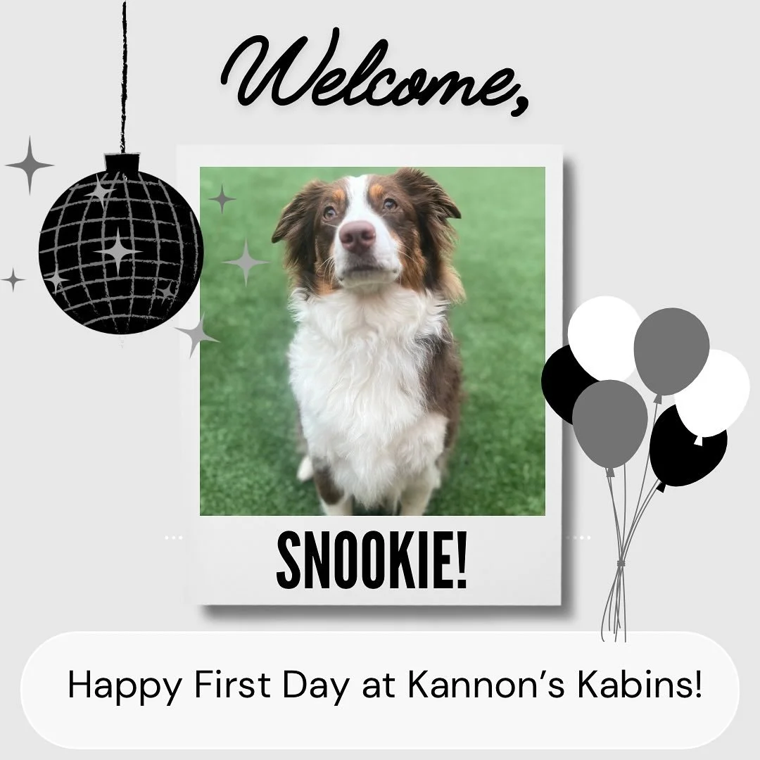 Happy First Day at Kannon’s Kabins, Snookie and Nala Mae!
