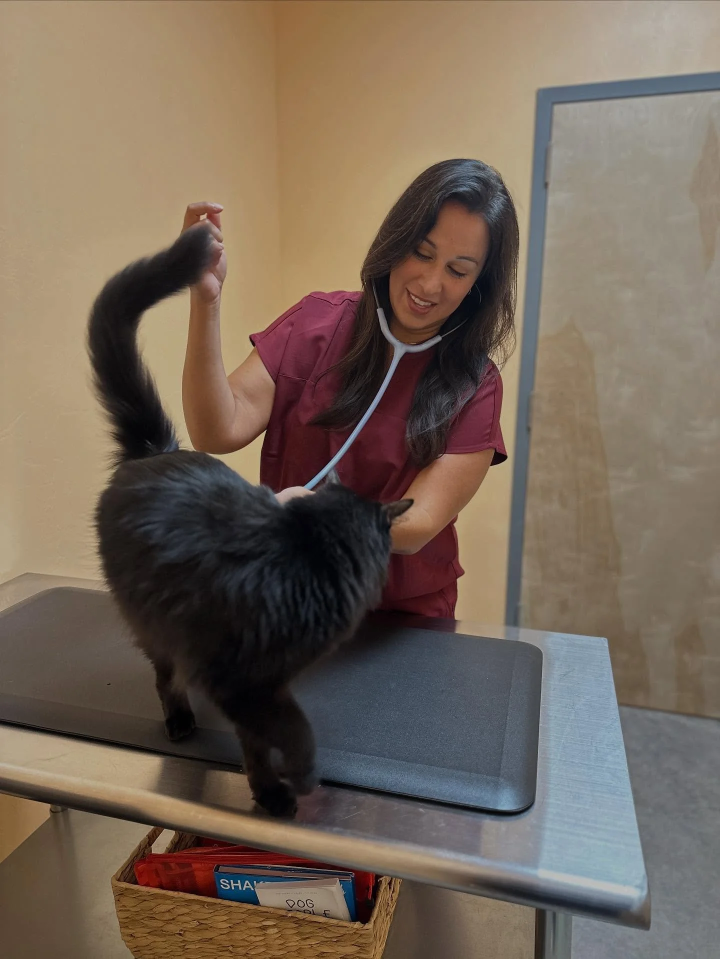 Proof that cuddles are part of the treatment plan. π±β¨
But in all honesty, behind every exam is a whole lot of love. Dr. Parra makes sure your pets feel safe and cared for every step of the way. ππΎ
#edmondnewvetclinic #oklahomavets #petresortand