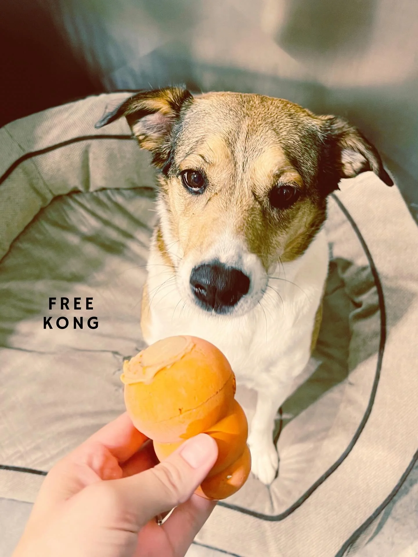 Friends, I really need your help. 🙏🆘

Since moving into our new facility, Google has been giving us a tough time. We finally got re-verified at our new address, but all the photos showing up are still from our old location. This might not sound lik