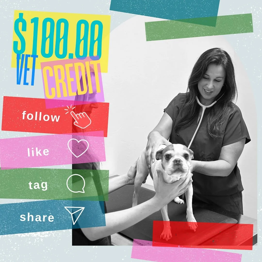 💛 We love our community and all the amazing pet parents who support us! 🐾 To give back, we&rsquo;re giving YOU a chance to win a $100 vet credit at Kannon&rsquo;s Kabins!

Here&rsquo;s how to enter ⬇️
1️⃣ Follow us
2️⃣ Like this post ❤️
3️⃣ Tag 3 f