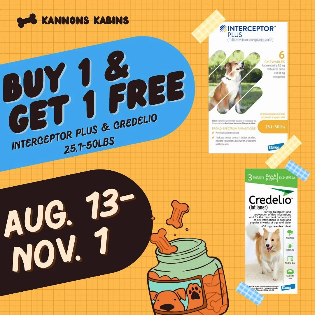 We&rsquo;ve extended our BOGO deal for our interceptor and credelio to Nov. 1st! 🤩

Buy One Get One on Credelio &amp; Interceptor sizes 25-50 lbs! 

🚨We have a few other sizes available for this discount! If your pet isn&rsquo;t in the listed weigh