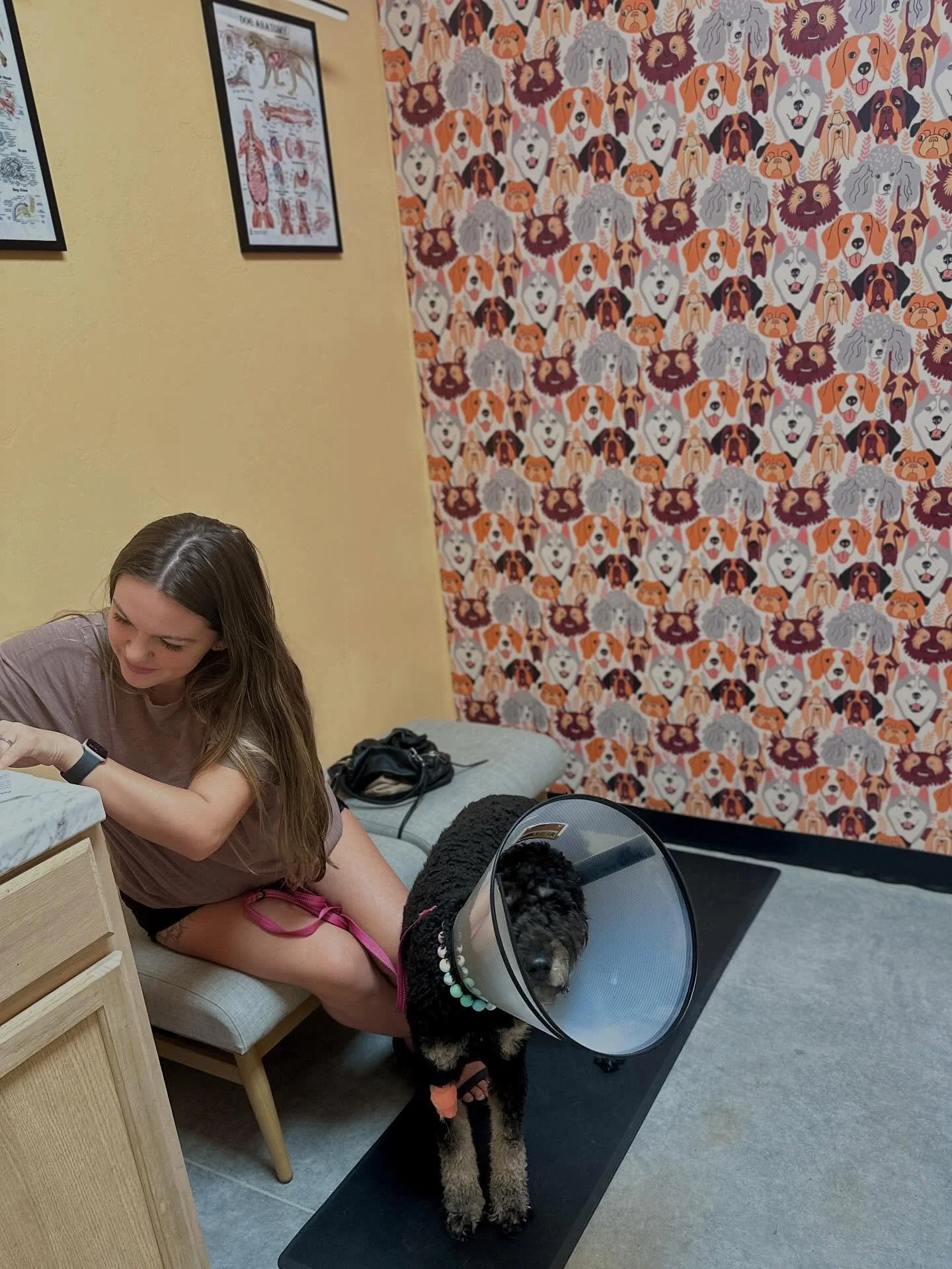 Big milestone for our vet clinic today!!! We completed our very first spay! Our sweet patient, Lucy, was an absolute star 🌟 She did amazing, and we loved getting to love on a few other cuties throughout the day too 💖

#spayandneuter #vetmedicine #d