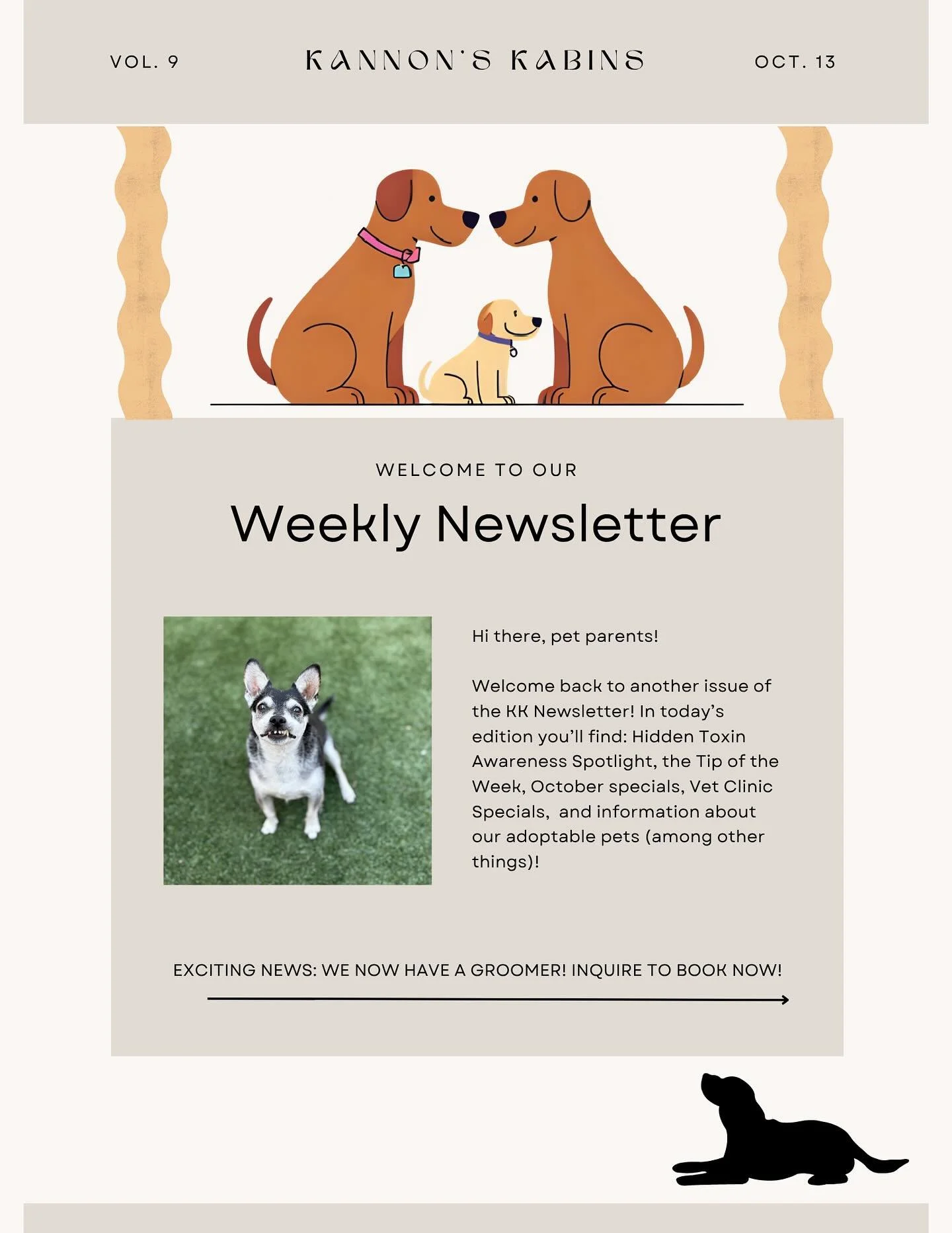 Think your home is pet-safe? We’re continuing to learn about Toxin Awareness Month through this week’s edition and some of the most common toxins are hiding in plain sight. Read more to learn what to watch for!
Comment below if you have
