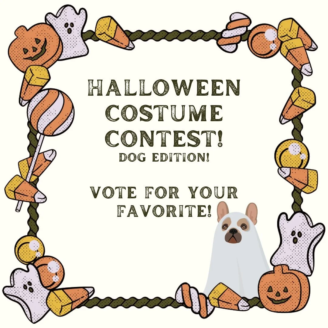 Help us crown the costume contest winner from our Halloween Event! 🎃👻 Comment your favorite below using the number system (Ex: ‘Pic #1’ for the first photo).
Winner announced Wednesday! 🎃🥇