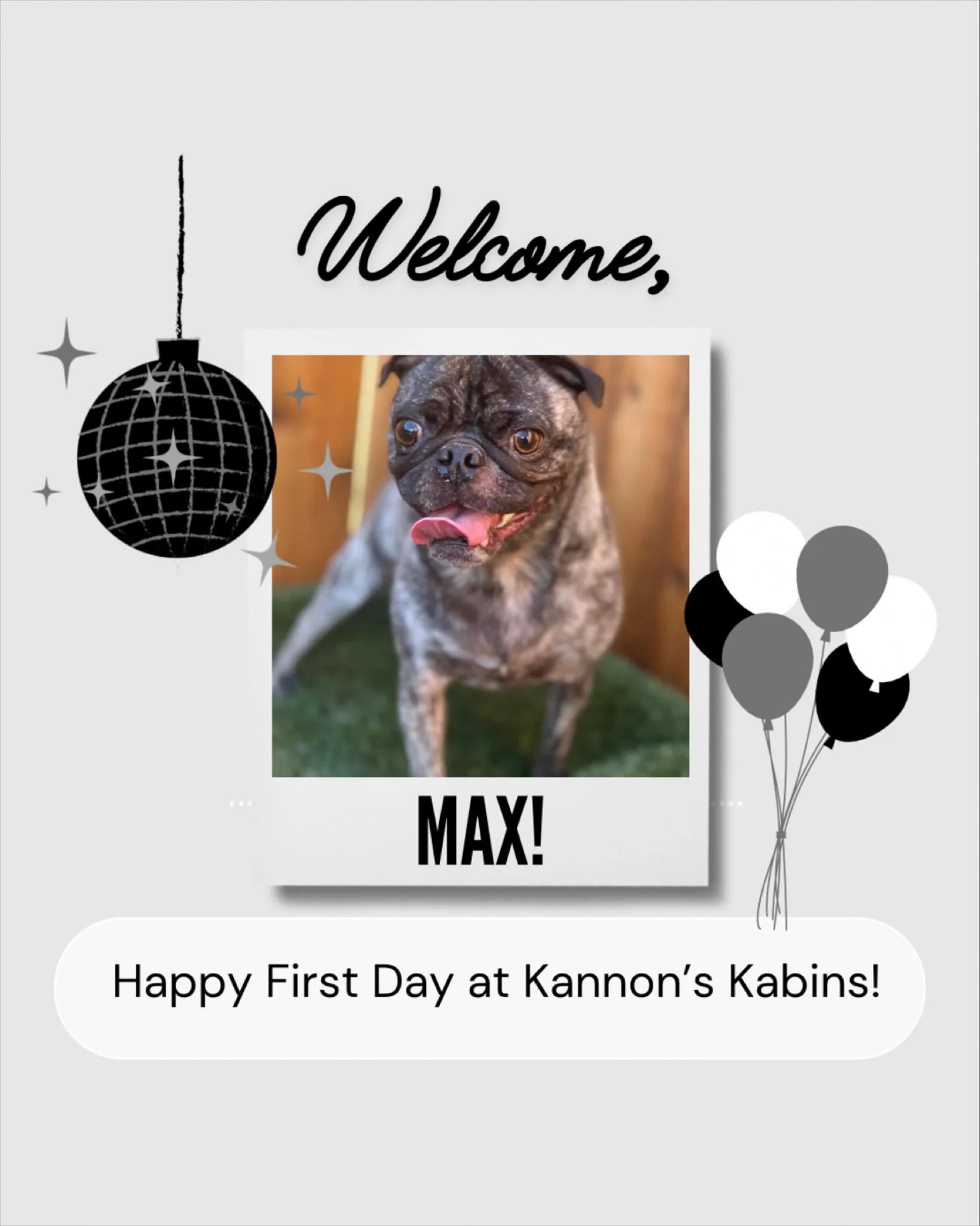 Happy First Day at Kannon’s Kabins, Max!