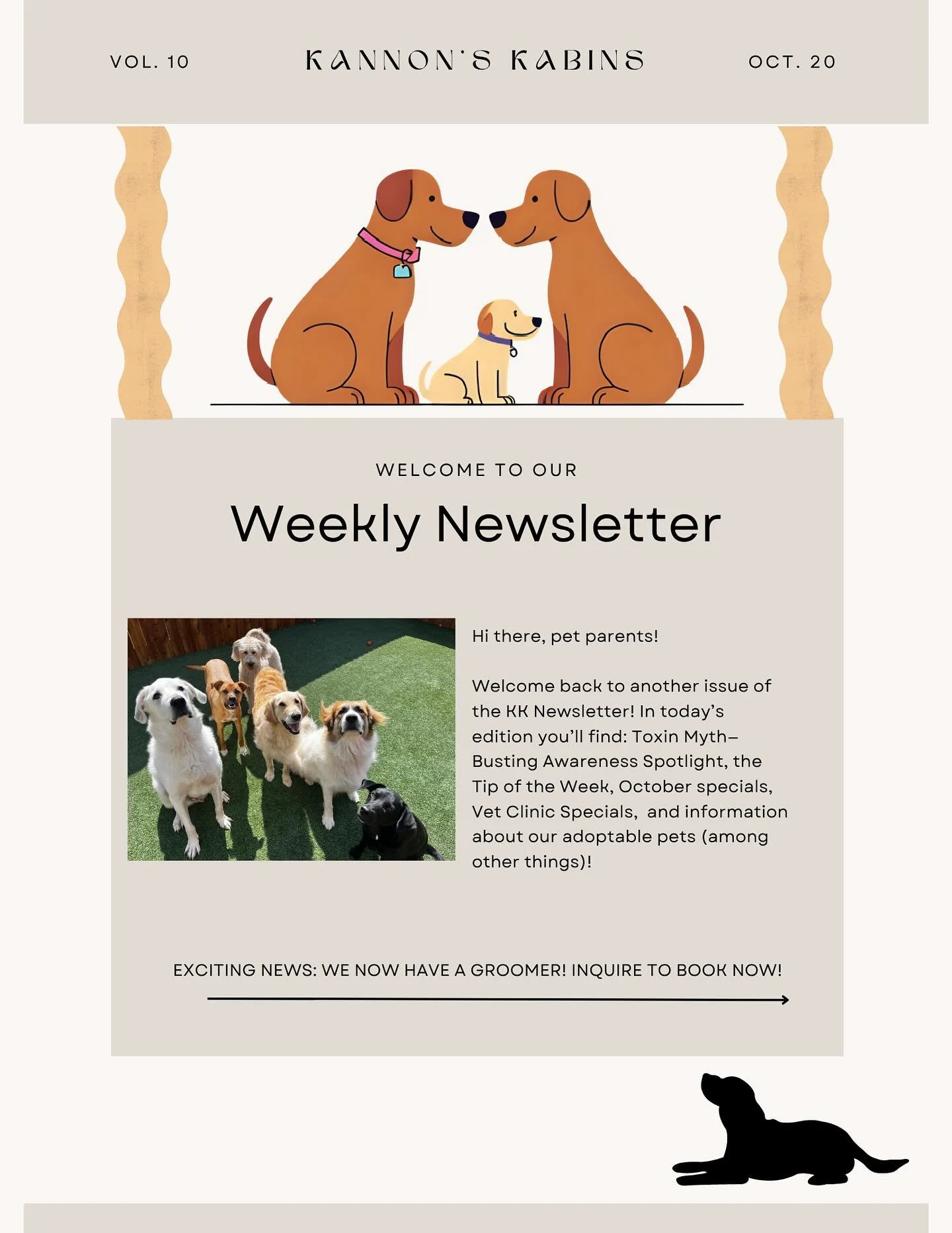 Hey Pet Parents! Volume 10 of the Kannon’s Kabins Newsletter is here! Learn about common myths associated with toxins for your pets, see our Tip of the Week, meet our current adoptables, and learn about our pet of the week above!
Missed an edi