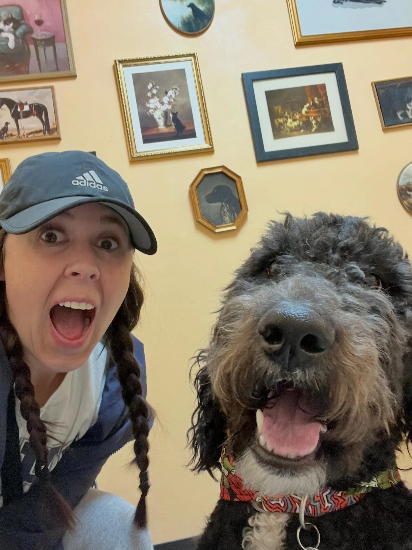 Selfie Saturday! 🤳🤪
Boone and his mama came in to get his sutures removed from his neuter a couple weeks ago! He may have lost his manhood but he’s still strutting around like the superstar he is! 🤩🤣