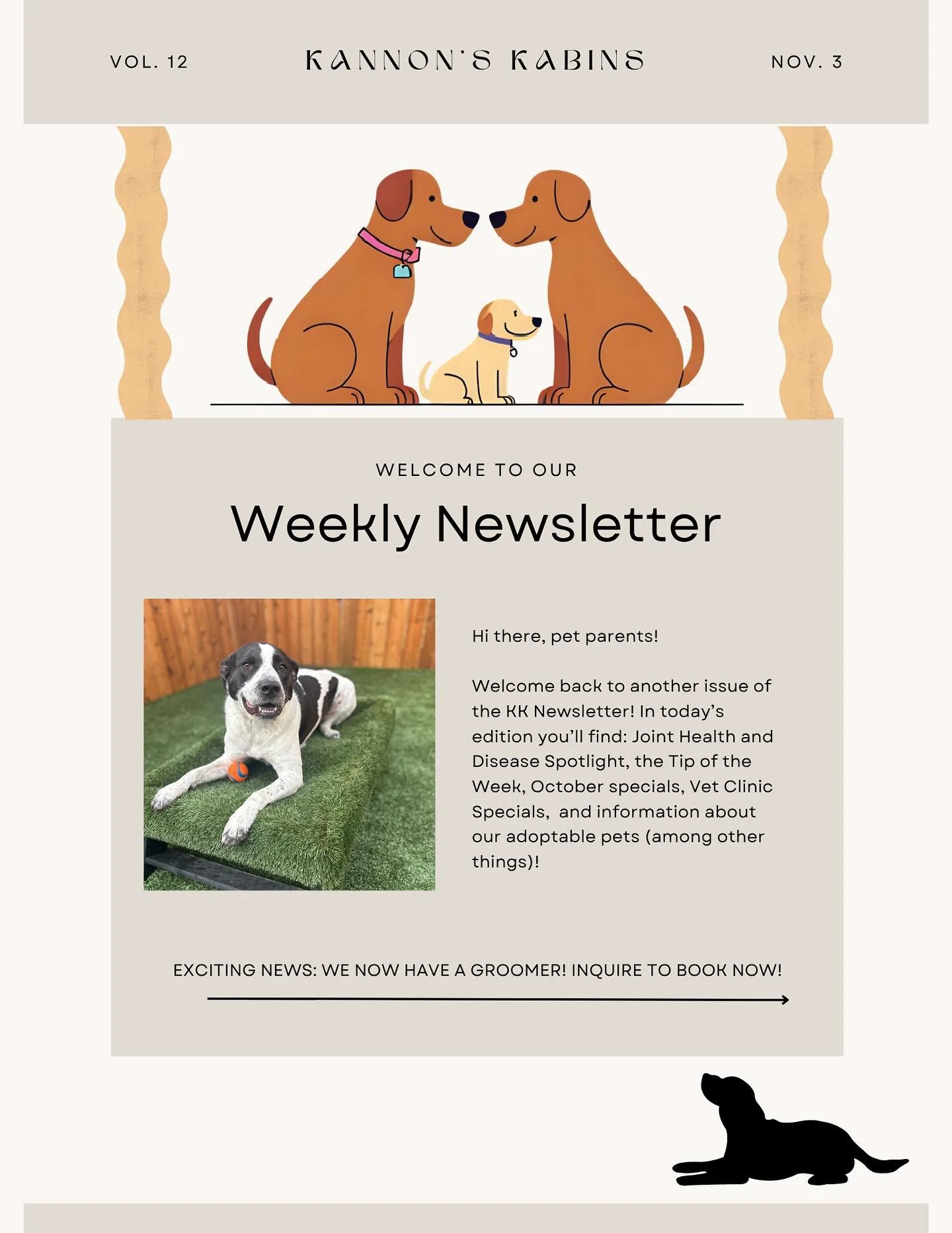 Wow! Week 12 is already here! For the month of November we will be covering Joint Health and Disease so make sure to stay tuned for helpful tips and information (especially if you have a senior pet)! 

Missed an edition? Don&rsquo;t worry! All previo