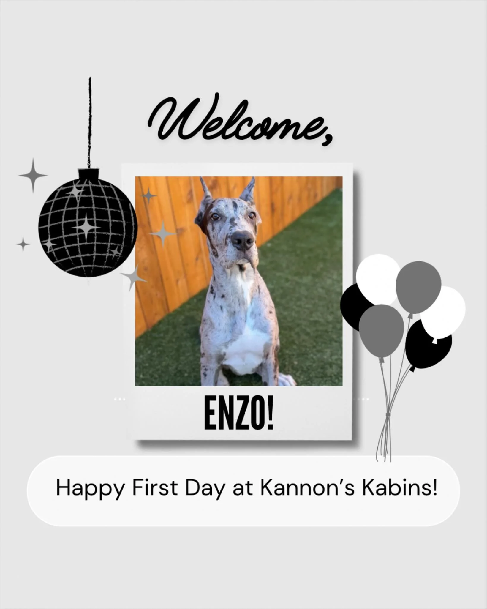 Happy First Day at Kannon&rsquo;s Kabins, Enzo!