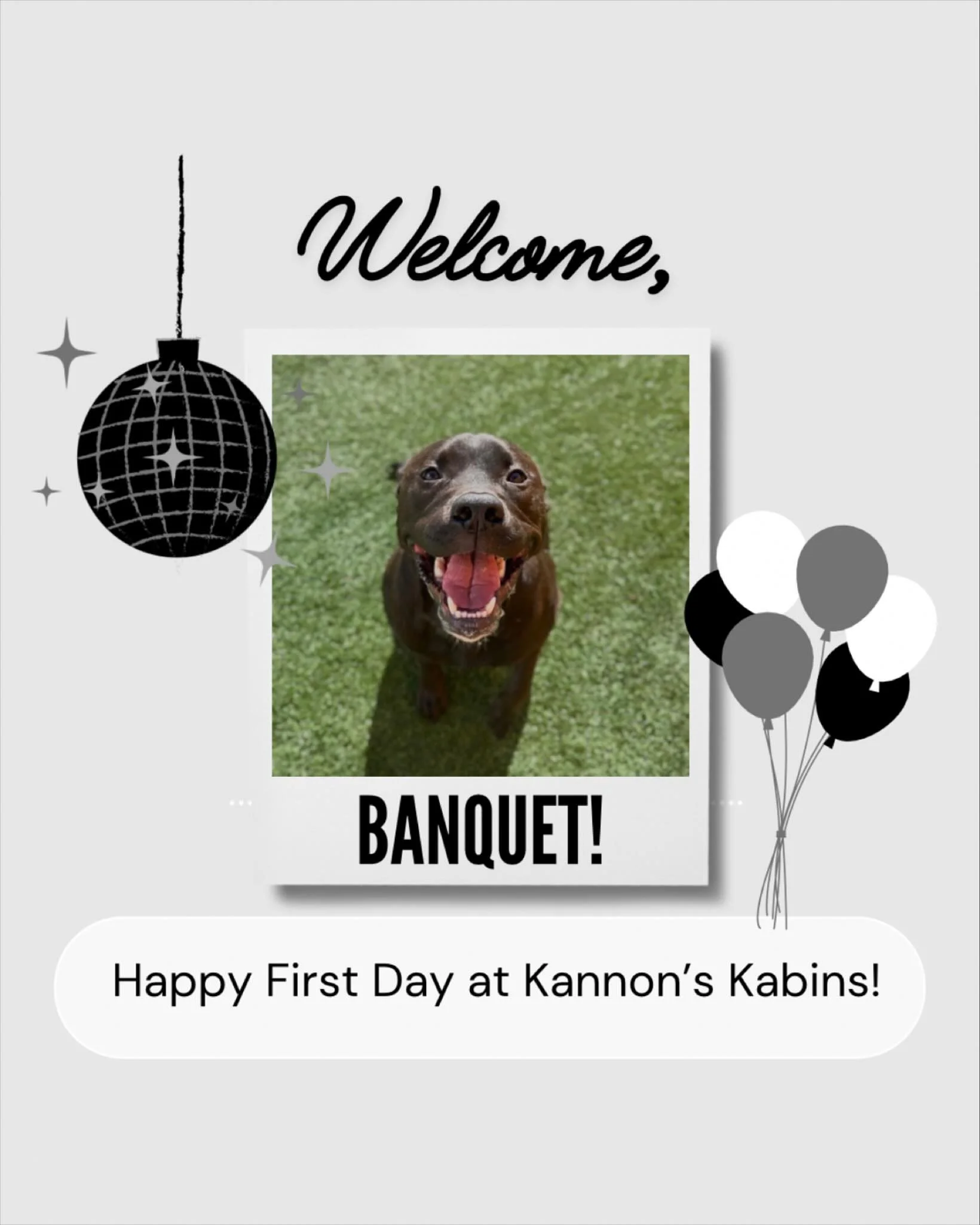 Happy First Day at Kannon&rsquo;s Kabins, Banquet!