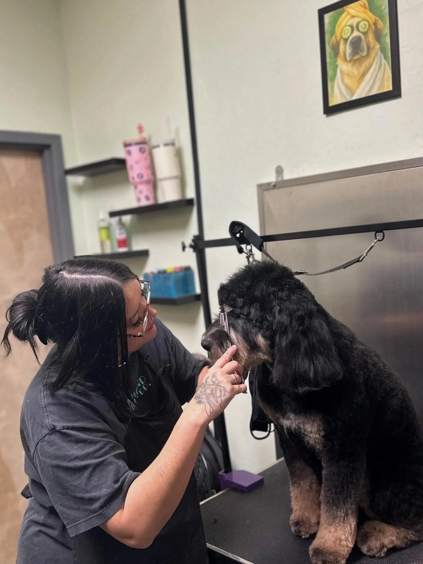 ✂️ Maggie still has plenty of openings and is ready to pamper your pups!

She&rsquo;s a total pro when it comes to doodles and creative, one-of-a-kind cuts 🐶💇&zwj;♀️

Last week she gave Willie a fresh new look, Kaya rocked a mohawk, and Wally showe