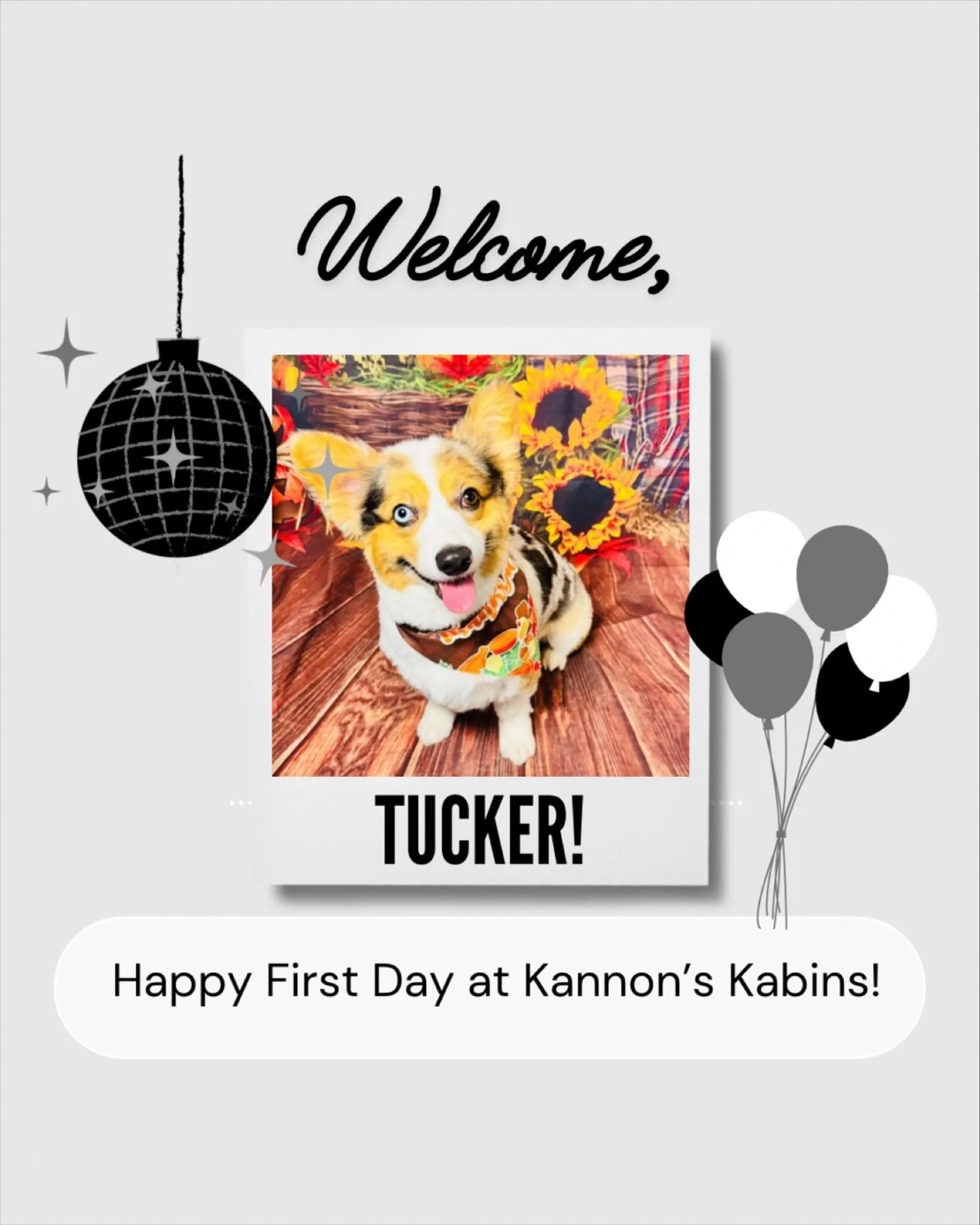 Happy First Day at Kannon&rsquo;s Kabins, Tucker!