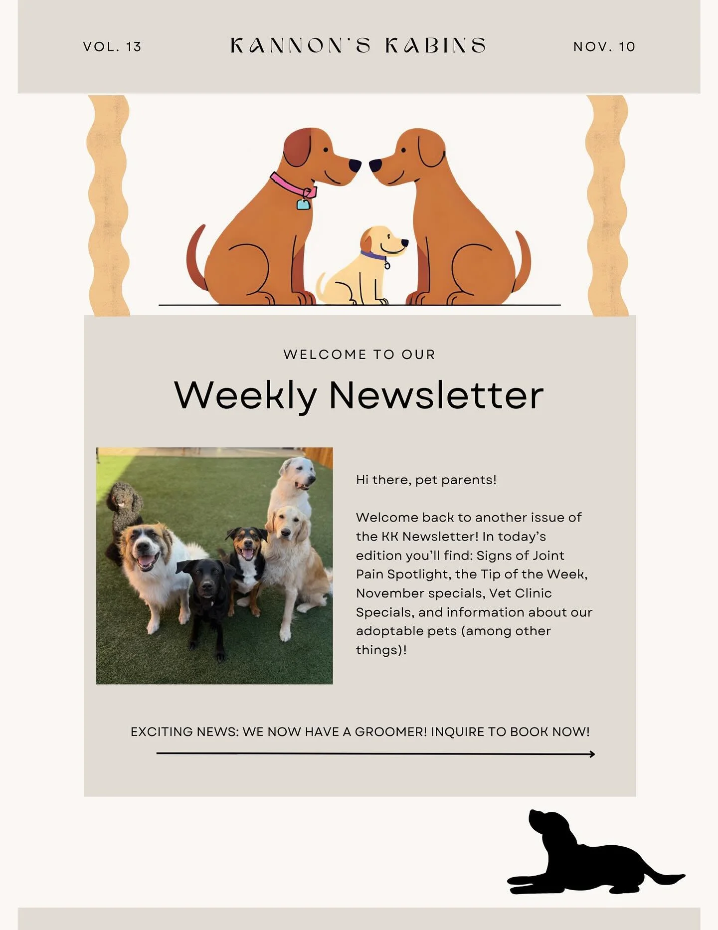 Joint pain in pets can sneak up slowly &mdash; here&rsquo;s how to spot the signs early and keep your furry friend moving comfortably! Week 13 is all about spotting the signs of joint pain! Read the newsletter and also learn about our November Specia