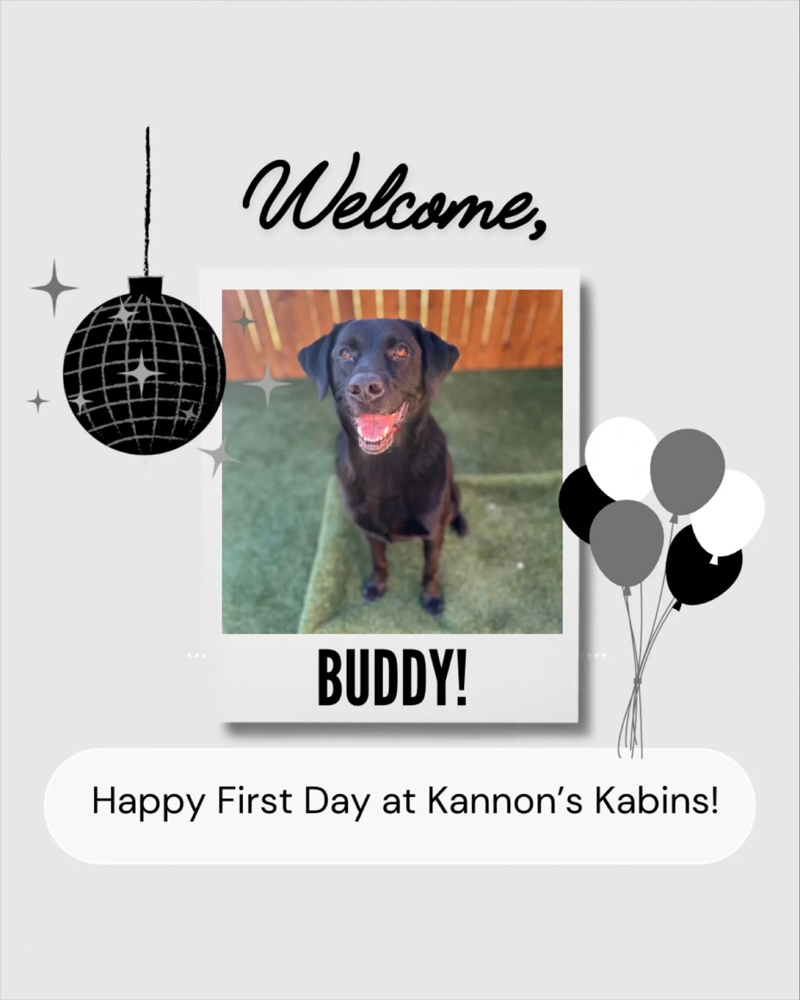Happy First Day at Kannon&rsquo;s Kabins, Buddy!