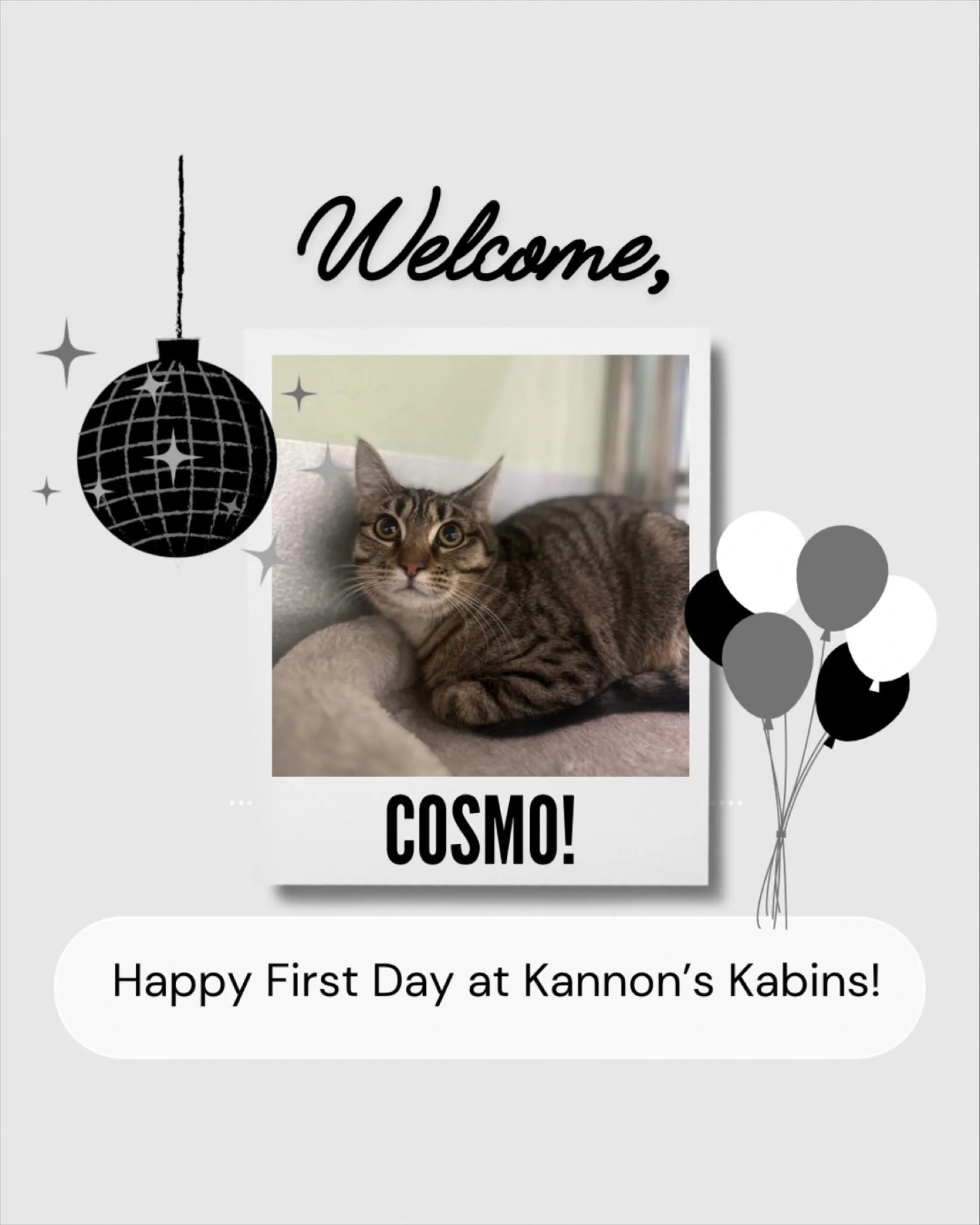 Happy First Day at Kannon&rsquo;s Kabins, Cosmo!