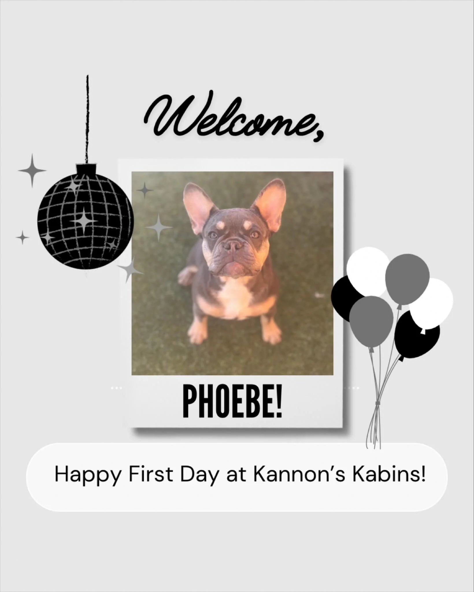 Happy First Day at Kannon&rsquo;s Kabins, Phoebe!