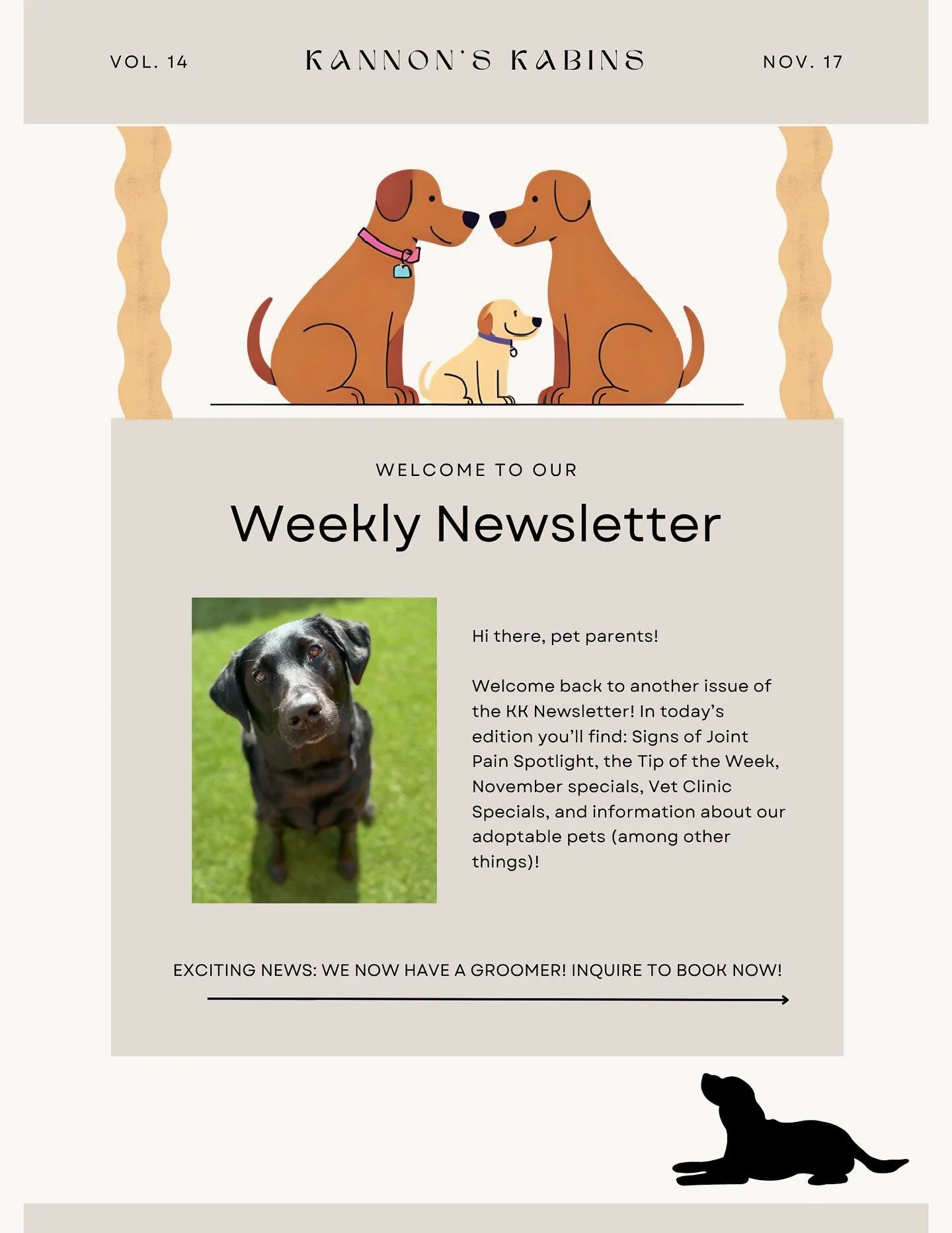 New week, new KK Newsletter!
Specials, tips, adoptables, and exciting updates inside. Tap through to read! 

Missed a week? Don&rsquo;t worry! All previous editions are posted in our instagram or linked on our website!