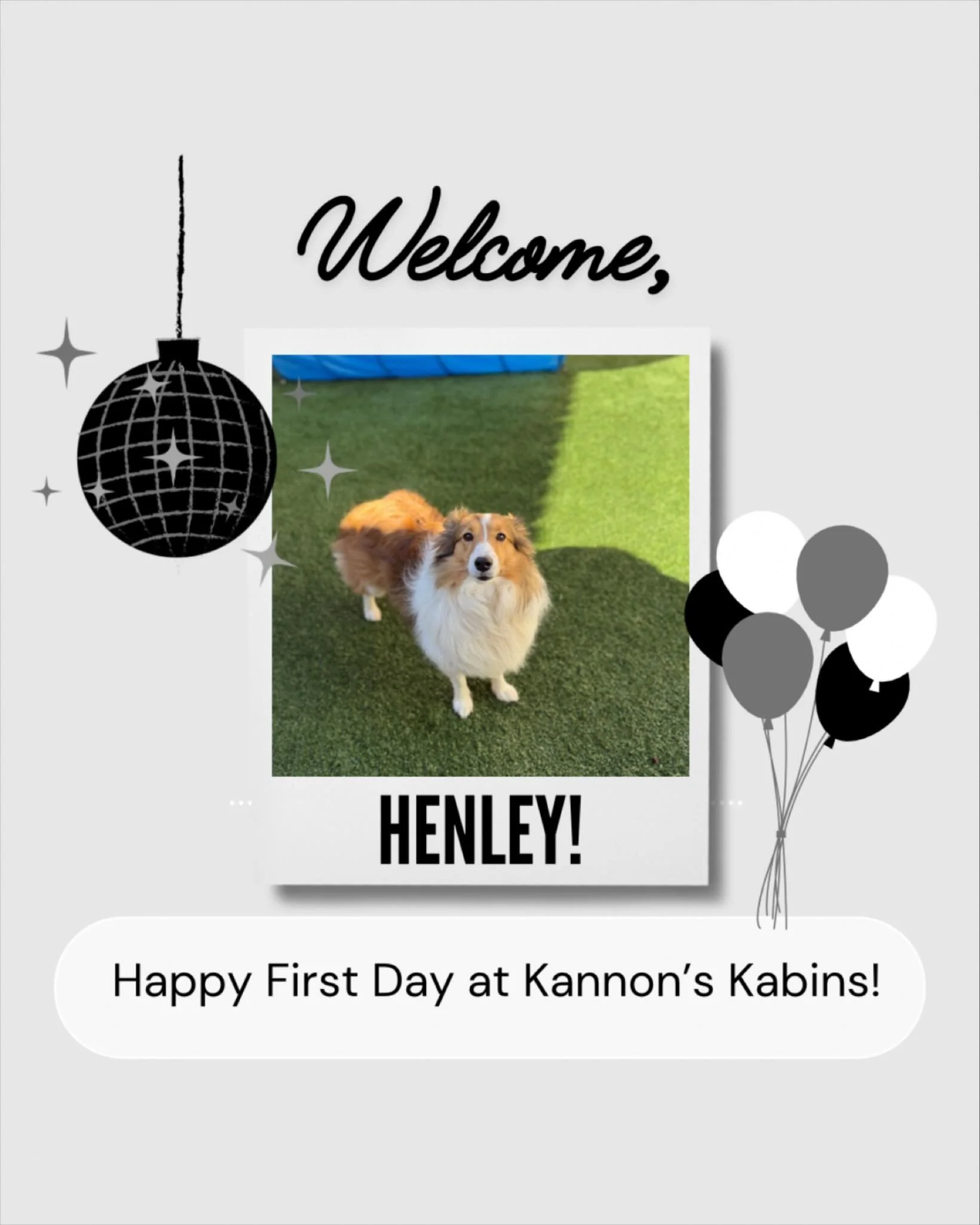 Happy First Day at Kannon&rsquo;s Kabins, Henley!
