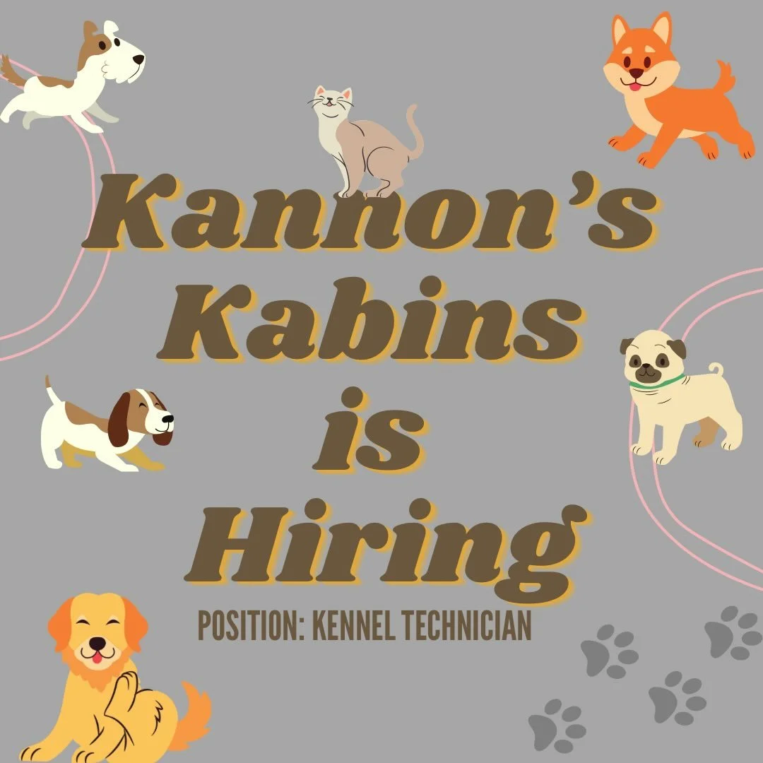We&rsquo;re hiring another Kennel Tech! 🐾

- Must be full time (30-40 hrs/week) 
- Rotating Weekend shifts 
- $15/hr
- Employee Discounts on daycare, boarding, and vet services 
- 401K Plans with 3.5% match 
- $500 Bonus after 6 months

📩 EMAIL US 