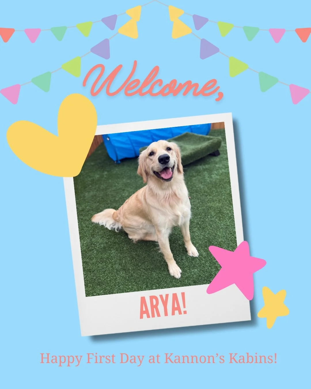 Happy First Day at Kannon&rsquo;s Kabins, Arya &amp; Junebug!