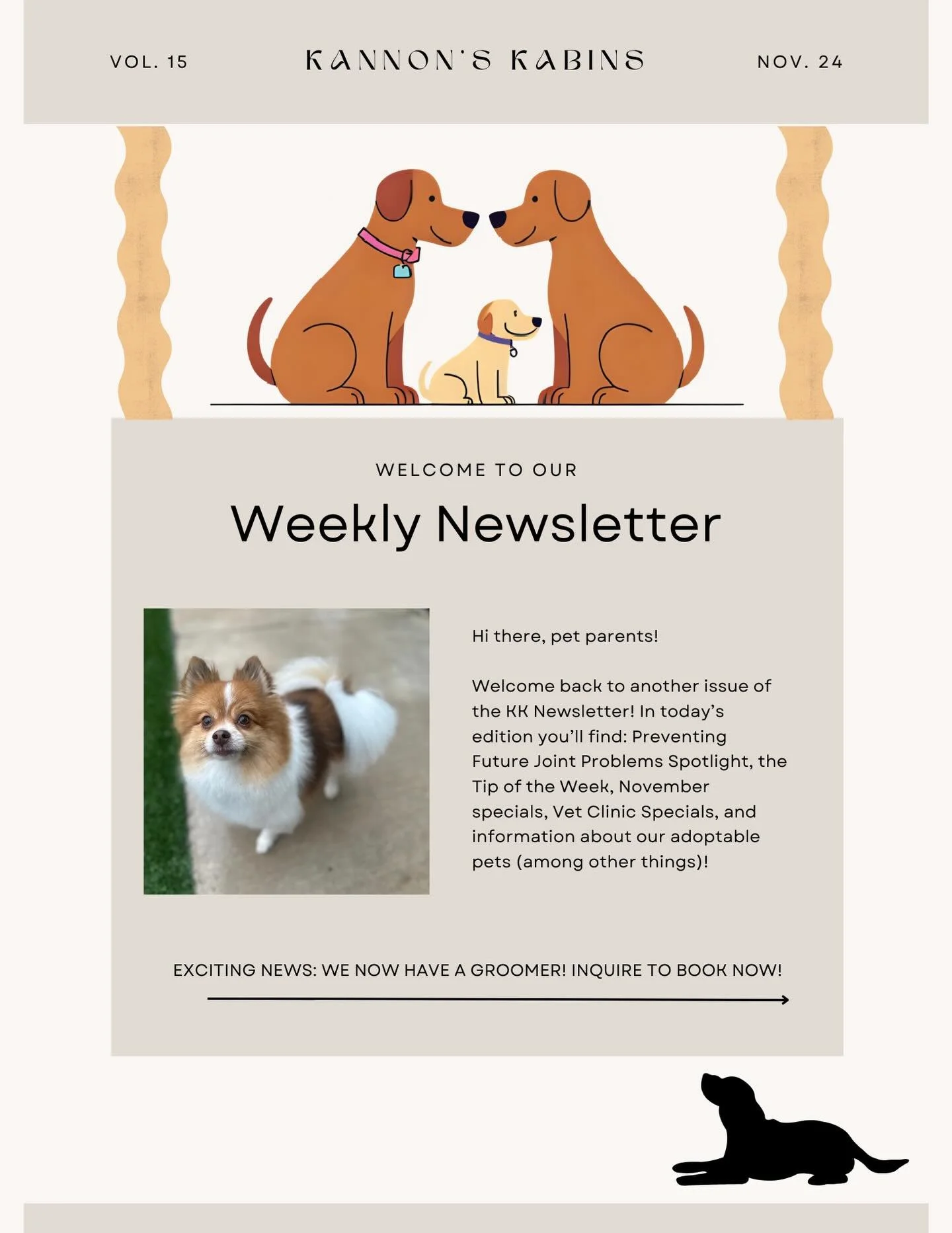 Last edition of our November Joint Awareness Month! Read to find tips on how to prolong your pets joints as they age.

Missed an edition? Don&rsquo;t worry! All previous editions can be found on our website or posted on our social media!