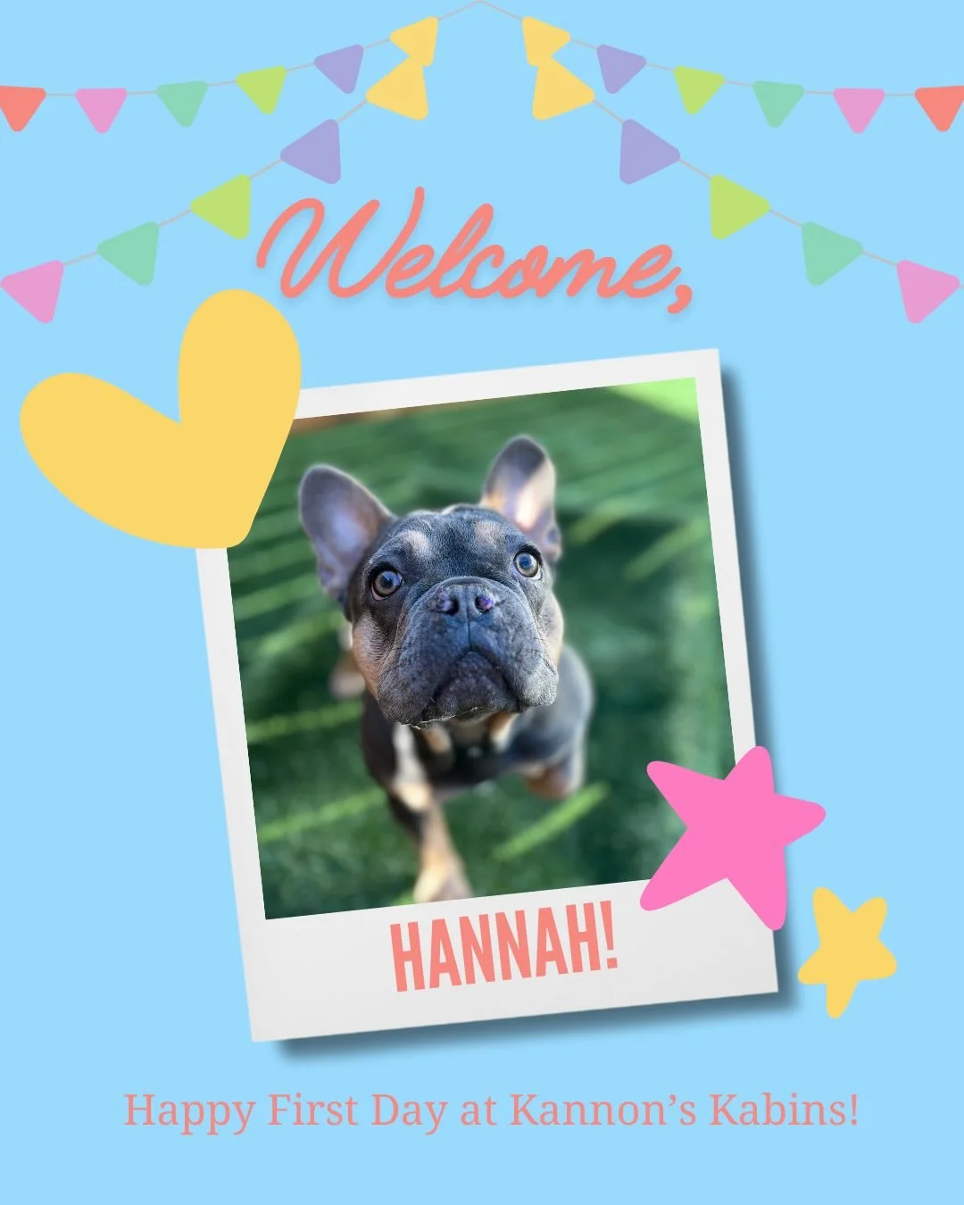 Happy First Day at Kannon&rsquo;s Kabins, Hannah, Lulu, and Lainey!